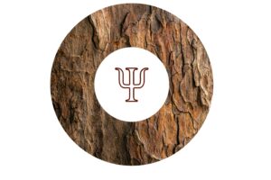 namnlös design