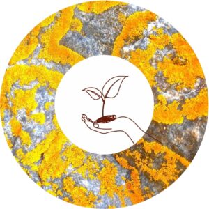 utbildning planta rundel